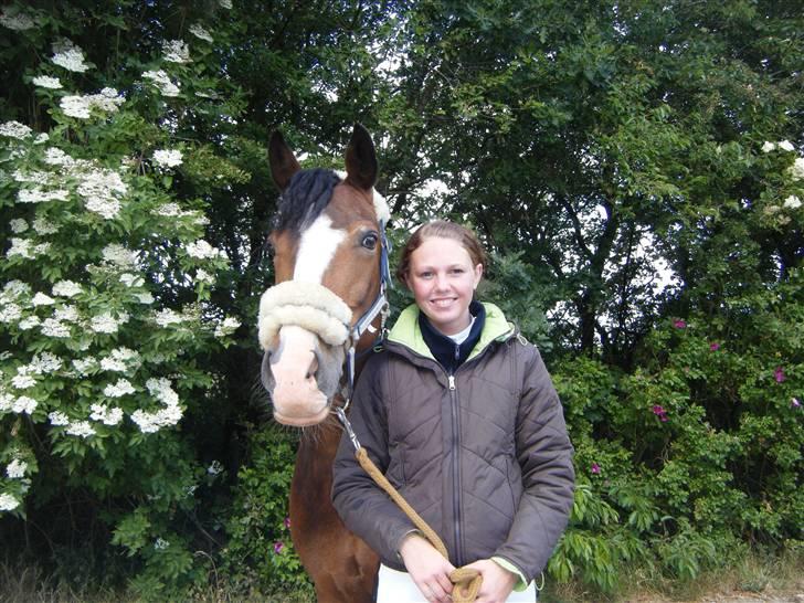 Hollandsk Sportspony Magic Pirock - Hygge (: billede 14