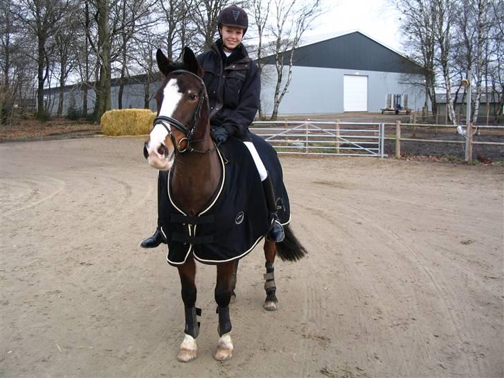 Hollandsk Sportspony Magic Pirock - Første distriksstævne. billede 17