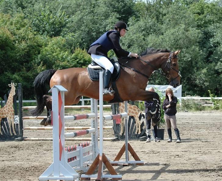 Anden særlig race Romeo R.I.P. - Jette og Romeo til SM i 2007 billede 18