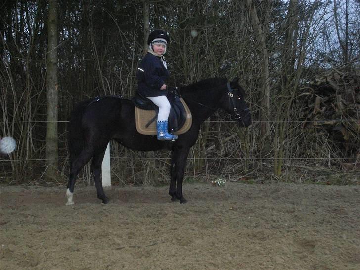 DSP Blackie<3 - Jonas på Blackie. De er SÅ søde sammen, det er helt vildt. billede 5