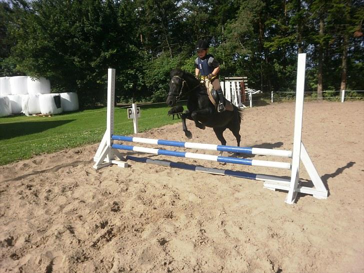 DSP Blackie<3 - Jonas springer 70 cm. på Blackie.           19/7-10 billede 7