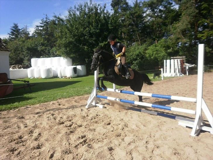 DSP Blackie<3 - Jonas springer 70 cm. på Blackie.           19/7-10 billede 9