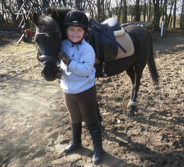 DSP Blackie<3 - Efter springning.         20/3-11 billede 10