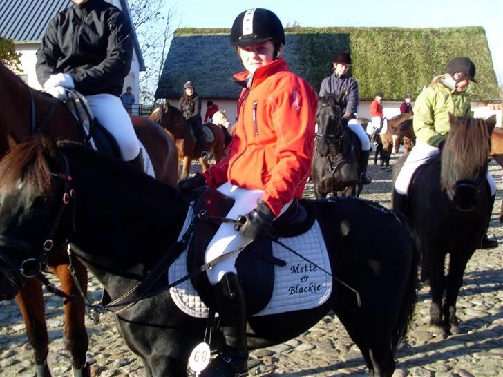 DSP Blackie<3 - Til jagten i Sindal d. 1 nov. 2008 billede 12
