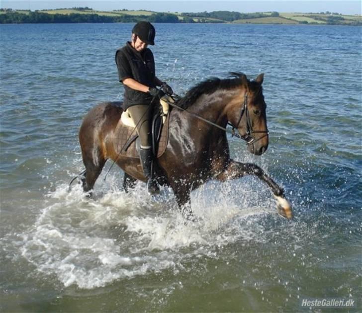 Hannoveraner Chanell *R.I.P* - Chanell synes det var så sjovt at sprøjte mor til ;o) billede 4