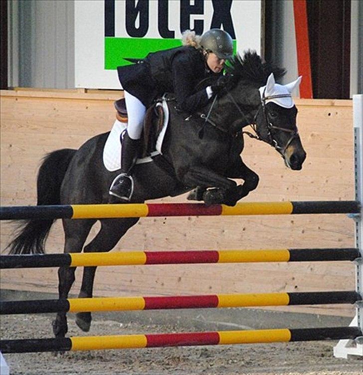 DSP Samara Spring pony billede 19
