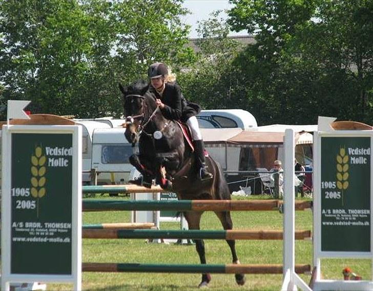 DSP Samara Spring pony - SJM 2009. billede 21