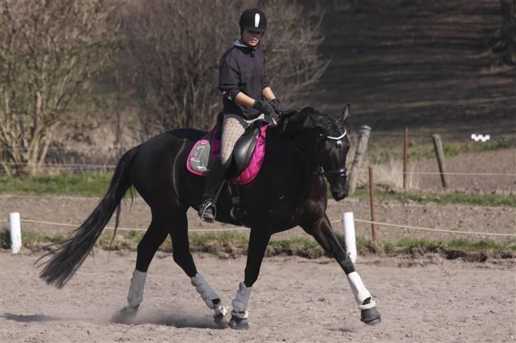Dansk Varmblod Naia R.I.P   08-07-2010 - Mig og Naiamusen <3<3 elsker den hest !!!!! (Letridning) billede 19