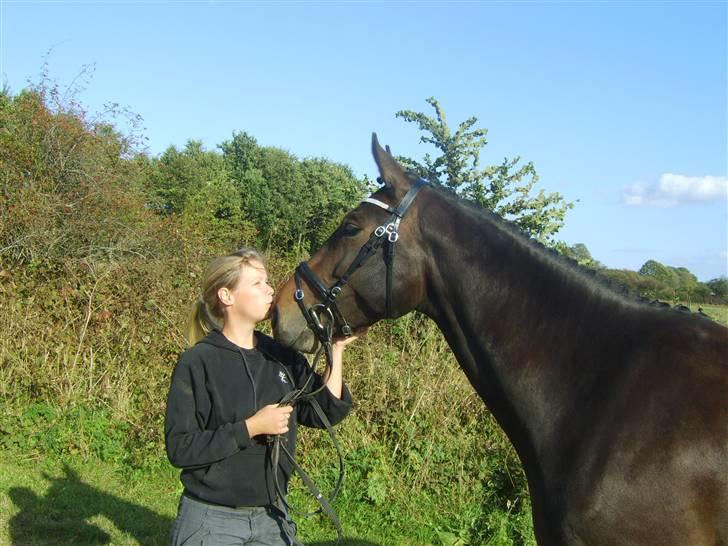 Hannoveraner Chanell *R.I.P* - Chanell September 2009 Min lille baby billede 17