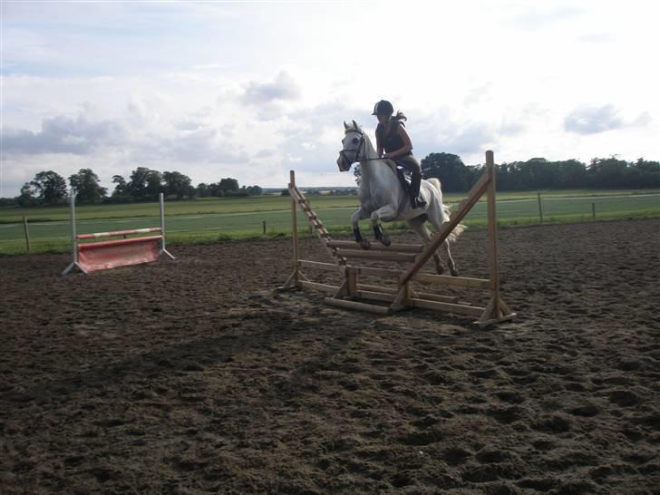 Sportsaraber (A) Habidi billede 2