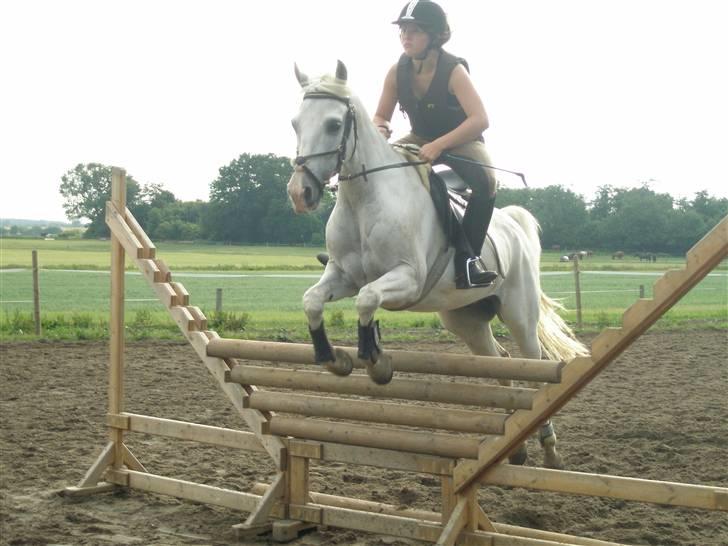 Sportsaraber (A) Habidi billede 11