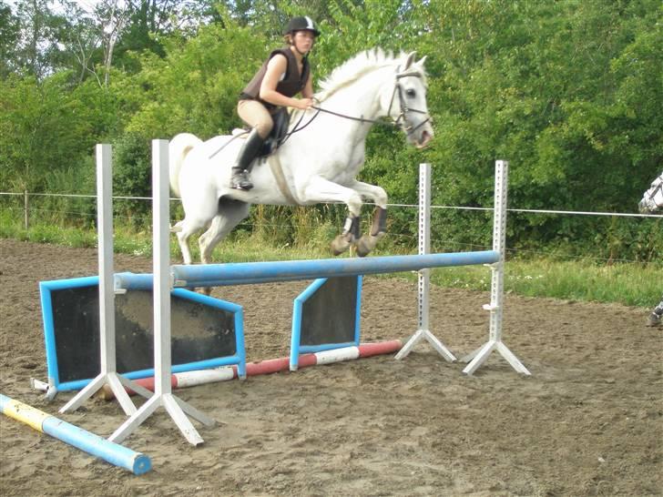 Sportsaraber (A) Habidi billede 13