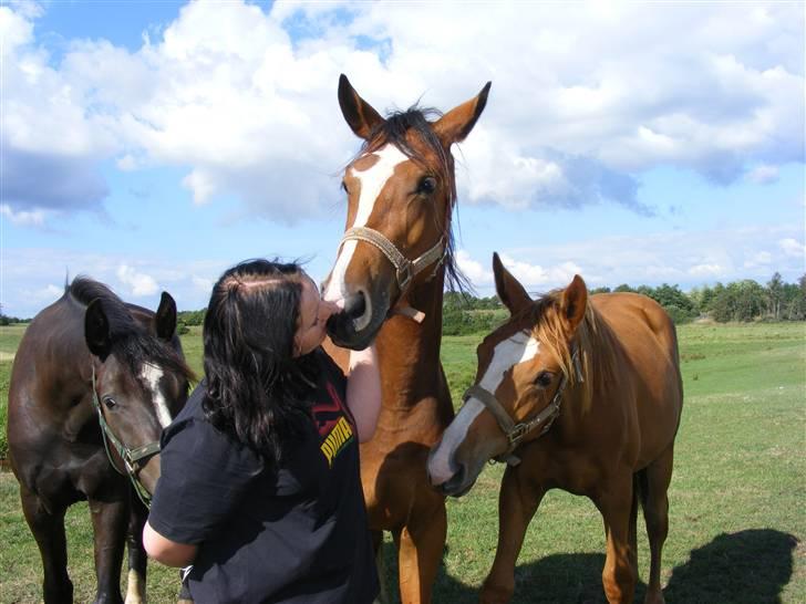 Dansk Varmblod Storåens Manhjana - Sødt XD - Sødere XD - Sødest XD <33 billede 18
