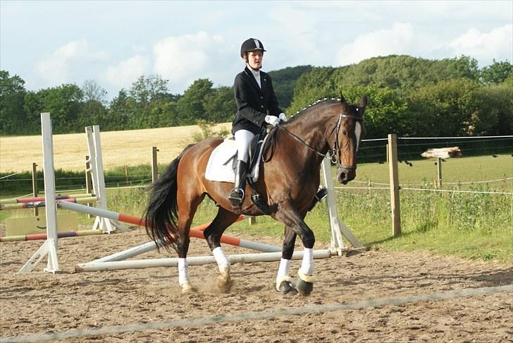 Oldenborg Bøgelunds Ulex -Solgt :(- - 5).Opvarmning til stævne. og vores sidste stævne sammen /: Fotograf: Anna W. billede 5