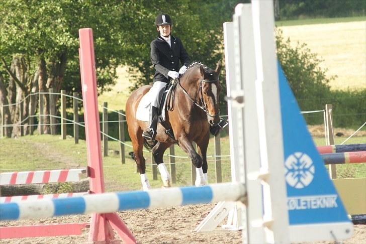 Oldenborg Bøgelunds Ulex -Solgt :(- - 6).Opvarmning til stævne. Sidste stævne med ham /: Fotograf: Anna W. billede 6