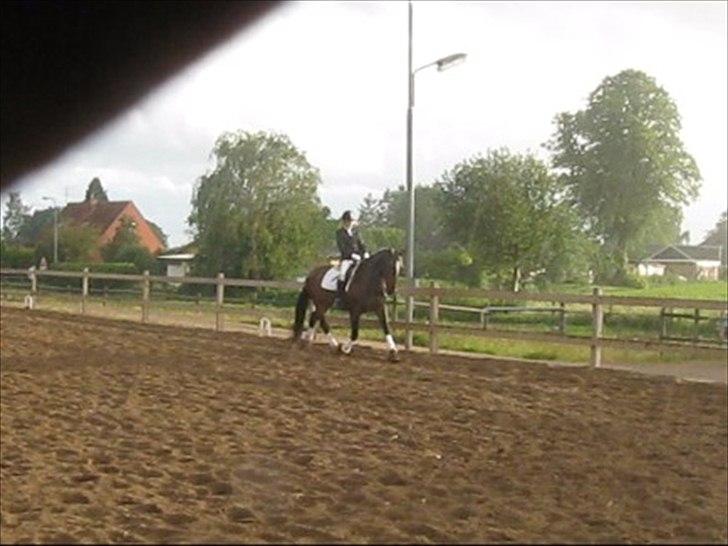 Oldenborg Bøgelunds Ulex -Solgt :(- - 8).Ulle og Julies sidste stævne sammen s: Taget af: Trine B ud fra video. billede 8