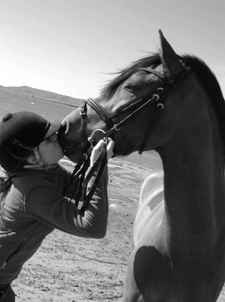 Anden særlig race Magnus DRØMME PONYEN)<3 - Velkommen til magnus´es profil. Y N G L I N G S B I L L E D ,  Bedste´ste pony<3 billede 1