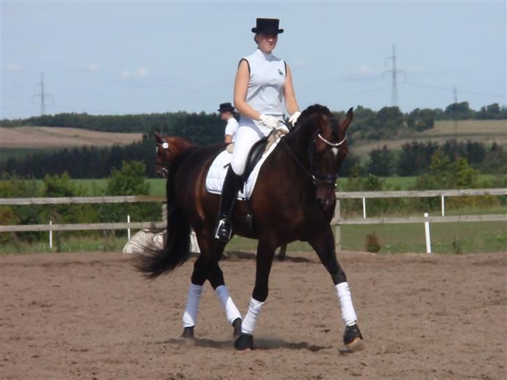 Holstener United - Aalestrup 2008 billede 9