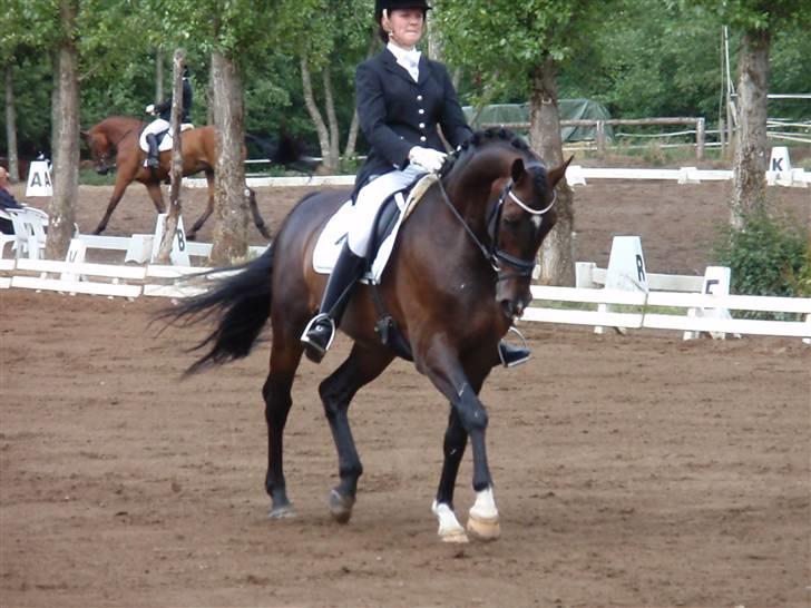 Holstener United - Til stævne i Silkeborg hvor vi red La6 til 64% (første La6) billede 10
