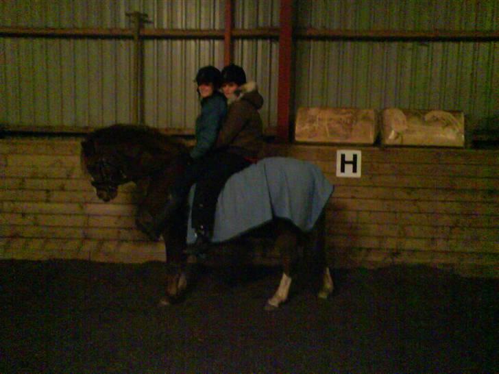 Welsh Pony (sec B) Låddenhøjs Swingboy SOLGT - Søs og mig på ponyen:D<3 billede 15
