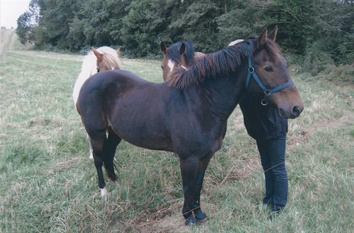 Anden særlig race Frederik - R.I.P. :'( billede 12