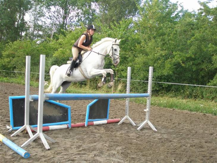 {{currentPhoto.altText}} billede {{currentPhoto.number}}