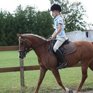 Anden særlig race melissa<3<3 SOLGT ;( <'3