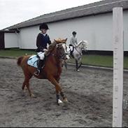 Anden særlig race melissa<3<3 SOLGT ;( <'3