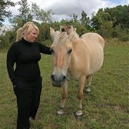 Fjordhest Berta