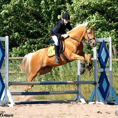 Palomino Golden justy SOLGT