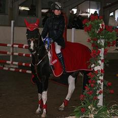 Pinto Faithful´s Xanadu