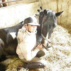 Pinto Faithful´s Xanadu