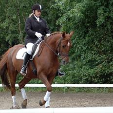 Anden særlig race Contesses Babe *>Rider<3!