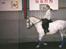 Lipizzaner Bonita - Træningslejr inden sydjysk mesterskab for Juniorer 2000 ( Vi kom dog aldrig med til finalen da Bonita blev halt 3 dage inden Buhuu:( )