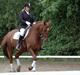 Anden særlig race Contesses Babe *>Rider<3!