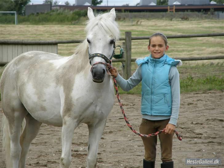 Anden særlig race Sheila (på pension) - Hun er lige kommet ud fra folden, er hun ikke bare beskidt.<3<3  billede 11