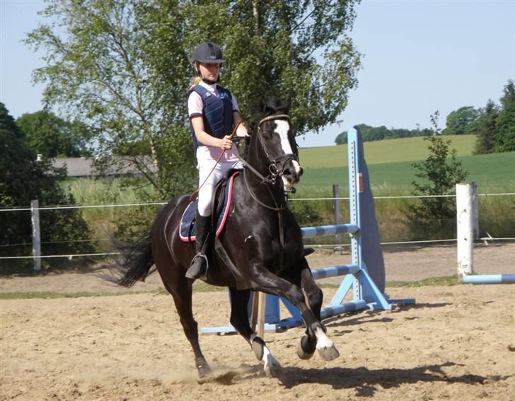 Anden særlig race | Oliver <3 - her kan man vist se lidt af hvor hissig og hurtigt han løb=)? Foto: Pia l billede 3