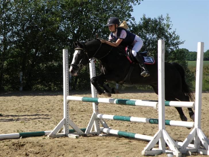 Anden særlig race | Oliver <3 - den anden LC<3<3  Foto: Pia l billede 7