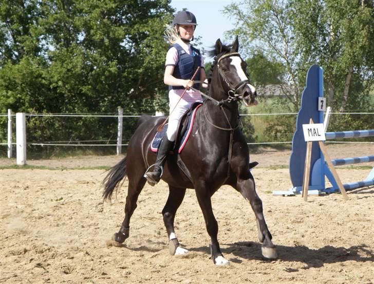 Anden særlig race | Oliver <3 - igenn en hissig olle<3<3xD  Foto: Pia l billede 9