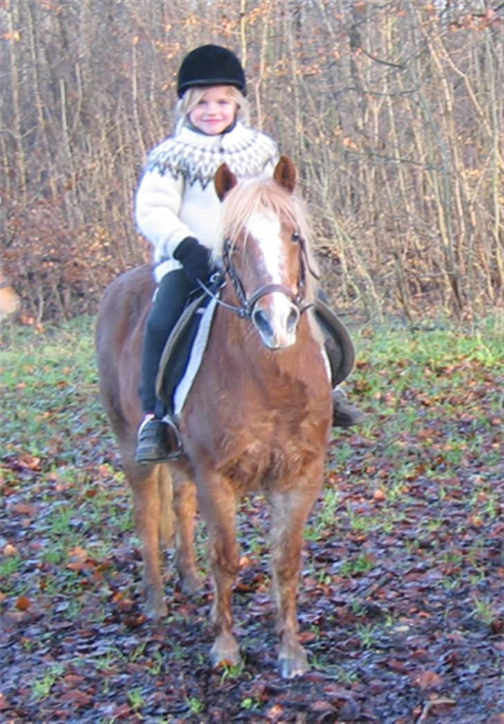 Anden særlig race Daisy - Efterår 2006 billede 1