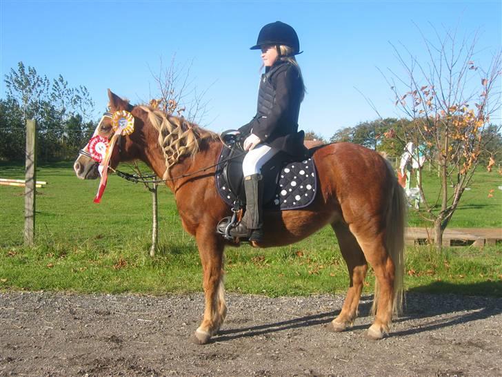 Anden særlig race Daisy - Stævne ved Anne Forsberg oktober 2007 billede 2