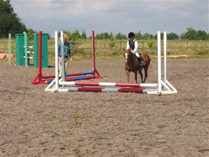 Anden særlig race Daisy - Ridelejr juli 2007 billede 4