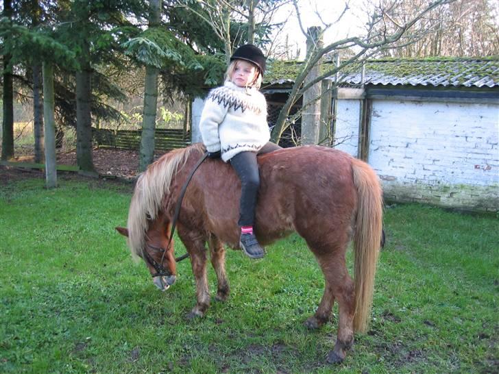 Anden særlig race Daisy - efterår 2006 billede 5