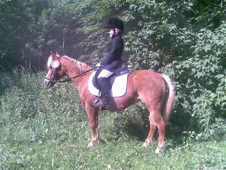 Anden særlig race Daisy - Stævne på Broløkke juni 2008 billede 7