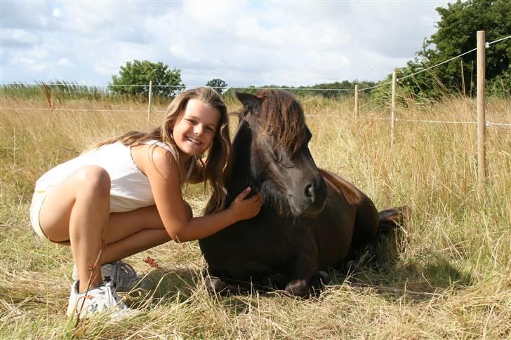 Shetlænder Tybjergaards Ally - lånte - ally slapper lidt af med min søster, sommerferien 2009 billede 6