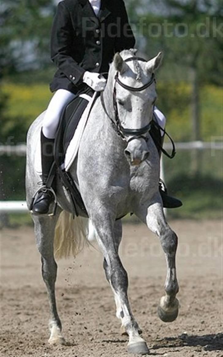 Anden særlig race Powergirl B-pony SOLGT - dejlige pony :D billede 3