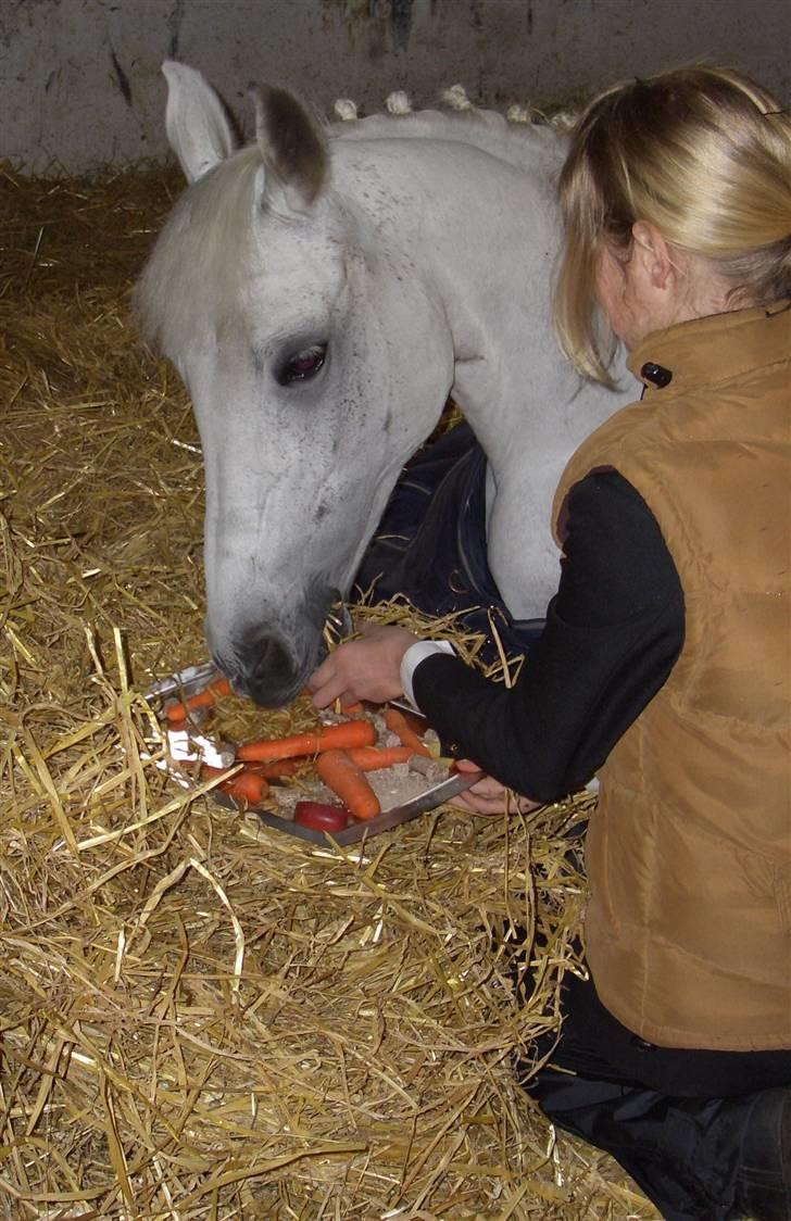 Anden særlig race Chamai *solgt - 8) Fødselsdag - morgenmad på sengen :P Foto: Mor eller Far billede 8