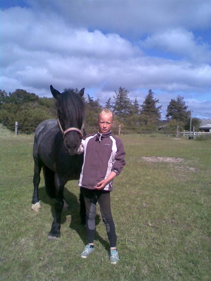 Anden særlig race Sejers Honey*Gamel part*  - Nr.6 Fine Lille honey(: Fotograf: Lærke Hansen! billede 6