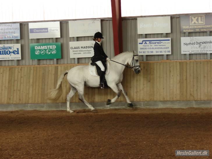 Connemara Capsy Queen - Galop Øgning i Lb2 (: NOR C-stævne 62,41% Tak til Rie for de fine billeder :P billede 18