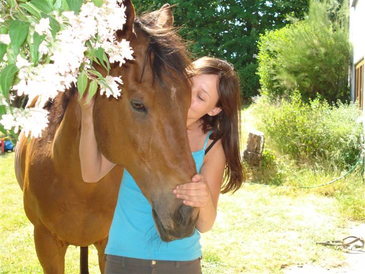 Anden særlig race Bruno, savner dig :'( <3 - jeg elsker dig bruno <3 det bedste minde med dig, savner dig så ufattelig meget :´( billede 18